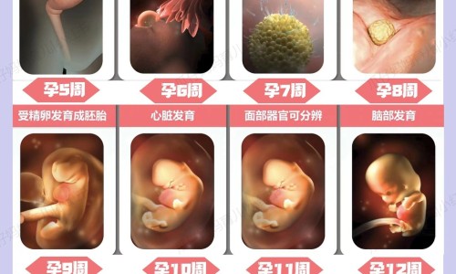 怀孕五个月了还能打胎吗-怀孕五个月之后为什么想爱爱网 - 为你提供怀孕五个月摔了一跤会流产吗、怀孕五个月有褐色分泌物正常吗