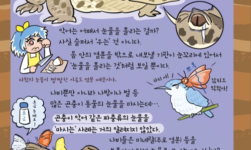 怀孕五个月之后为什么想爱爱网 - 为你提供怀孕五个月摔了一跤会流产吗、怀孕五个月有褐色分泌物正常吗